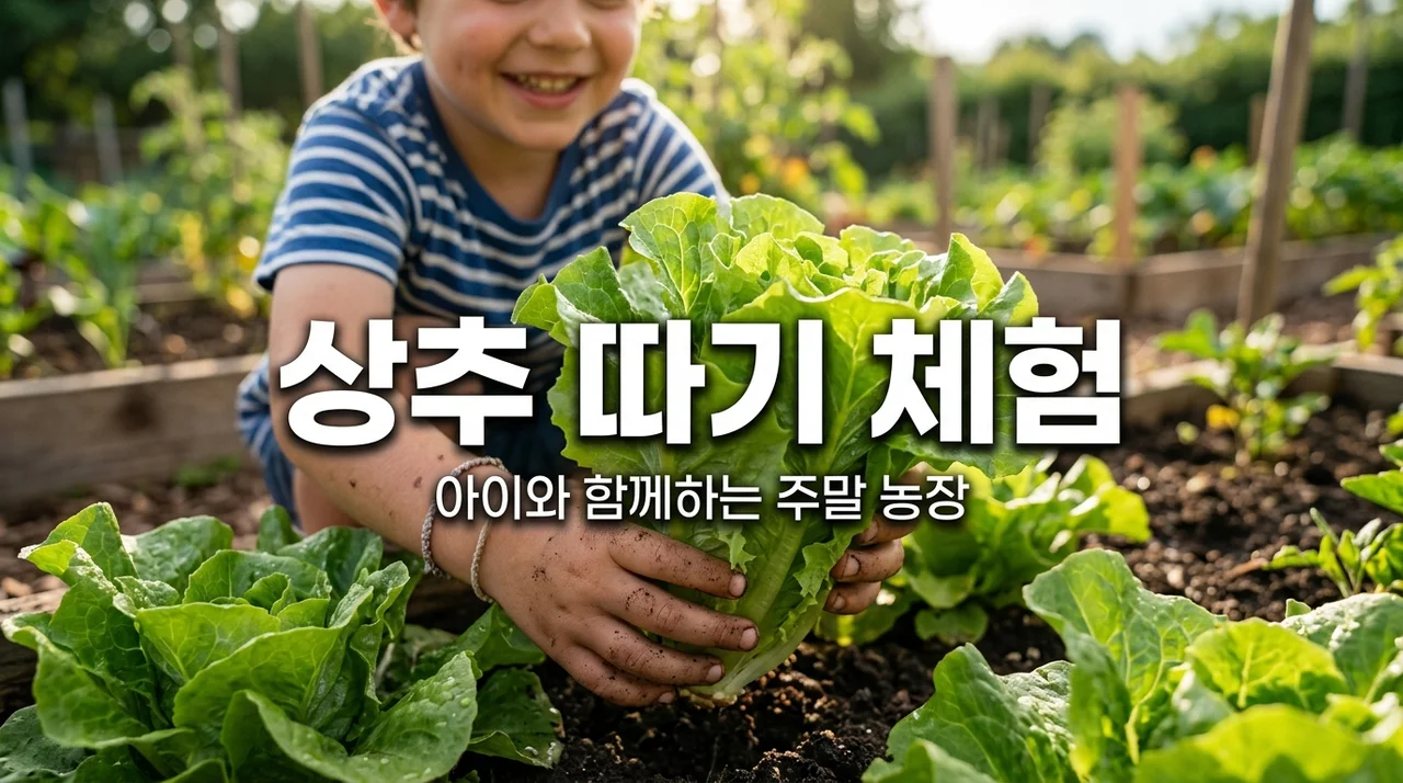 주말 농장 상추 따기 체험, 아이와 함께하는 자연 학습 꿀팁 5가지