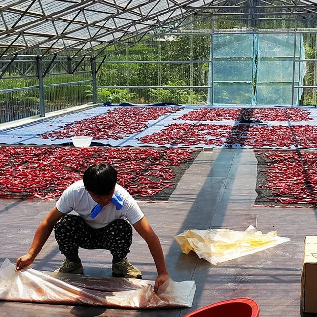 26년 국산 햇고춧가루 한근 500g 보통맛 김치 반찬용 보통굵기 고추가루 [원산지:국산] 상세 이미지 4