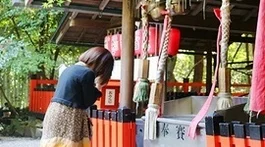 [모객중][부산][히노데온천1박+시내2박]오사카/교토/나라 4일[야식라멘+생맥주,하이볼,사케](USJ선택) DAY 3 여행 사진