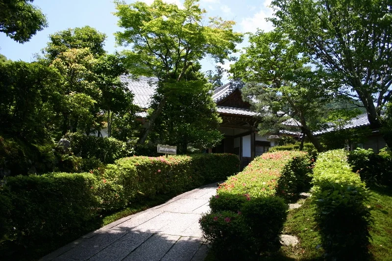 오사카/오츠/교토/고베 4일 호수가 품은 숨겨진 스팟 오츠 낭만가득 항구도시 고베 역사와문화 교토 사슴공원 나라 쇼핑천국 오사카 DAY 2 여행 사진
