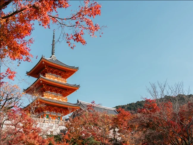 [슈퍼위크][하루는내맘대로] 오사카/교토/나라 3일 (1일자유/3대특식/USJ선택가능) 여행 사진