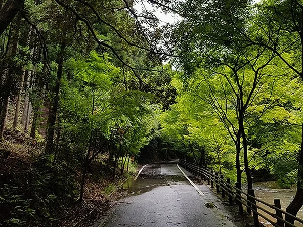 대마도2일/부산출발/4인출확 연합/2항차 씨플라워호/부산에서 가장가까운 일본 대마도 1박2일/이즈하라/히타카츠 왕복 DAY 2 여행 사진