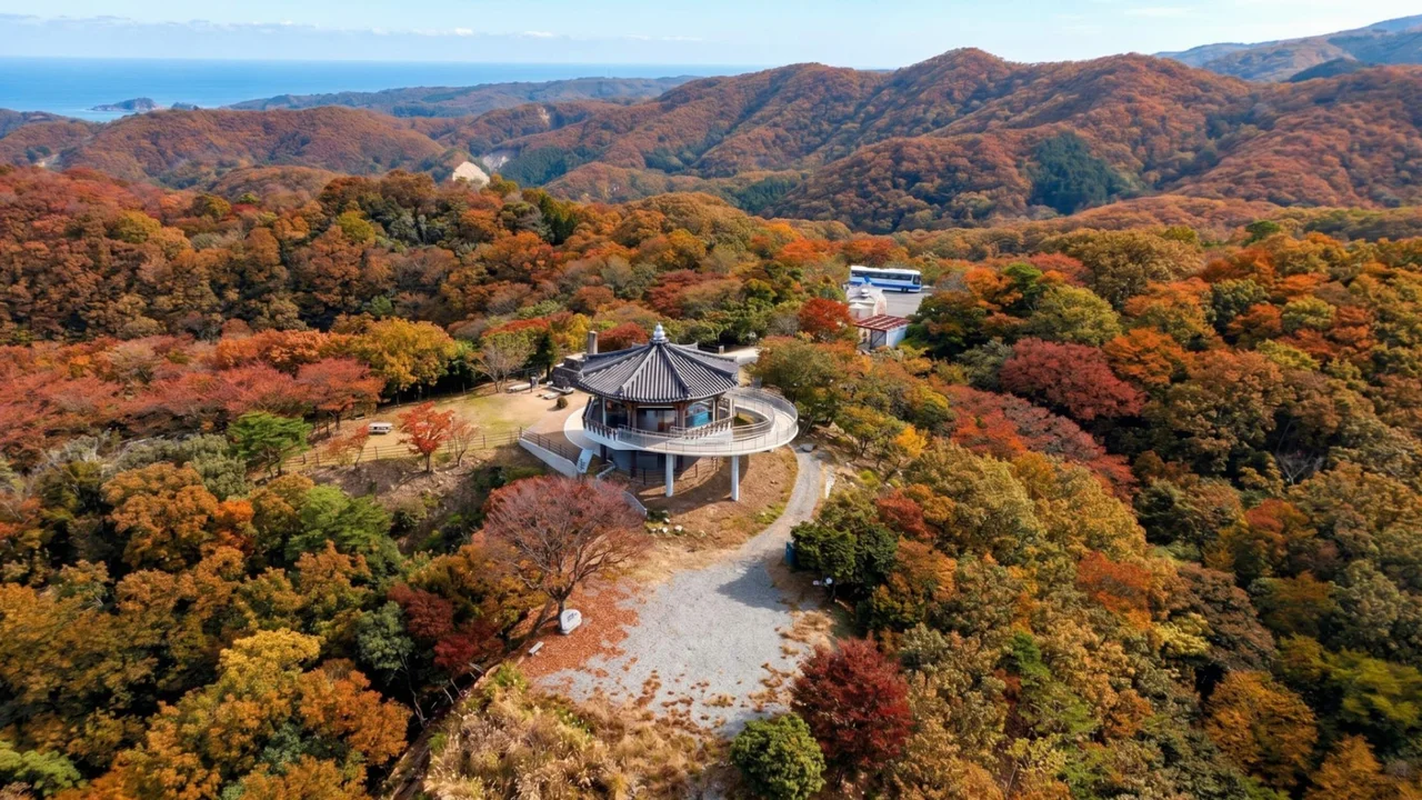 대마도2일/부산출발/4인출확 연합/2항차 씨플라워호/부산에서 가장가까운 일본 대마도 1박2일/이즈하라/히타카츠 왕복 DAY 2 여행 사진