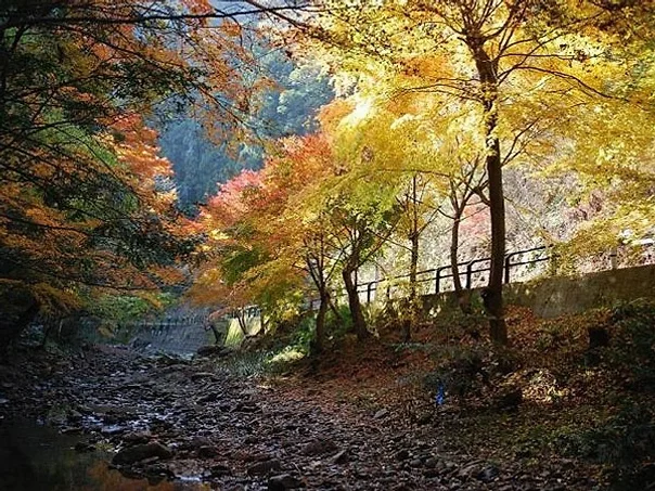 대마도2일/부산출발/4인출확 연합/2항차 씨플라워호/부산에서 가장가까운 일본 대마도 1박2일/이즈하라/히타카츠 왕복 여행 사진