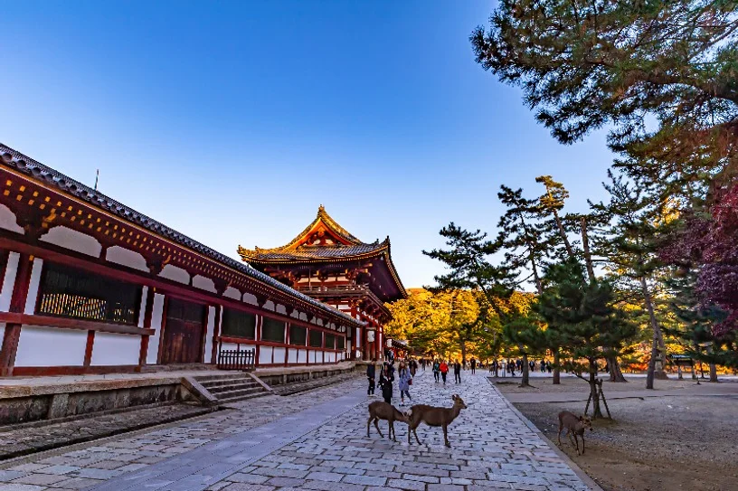 [출발확정] [한정특가] 오사카/고베/나라 3일 1일자유 시내숙박 쇼핑천국오사카 나라산책 낭만항구도시 핵심코스 DAY 1 여행 사진