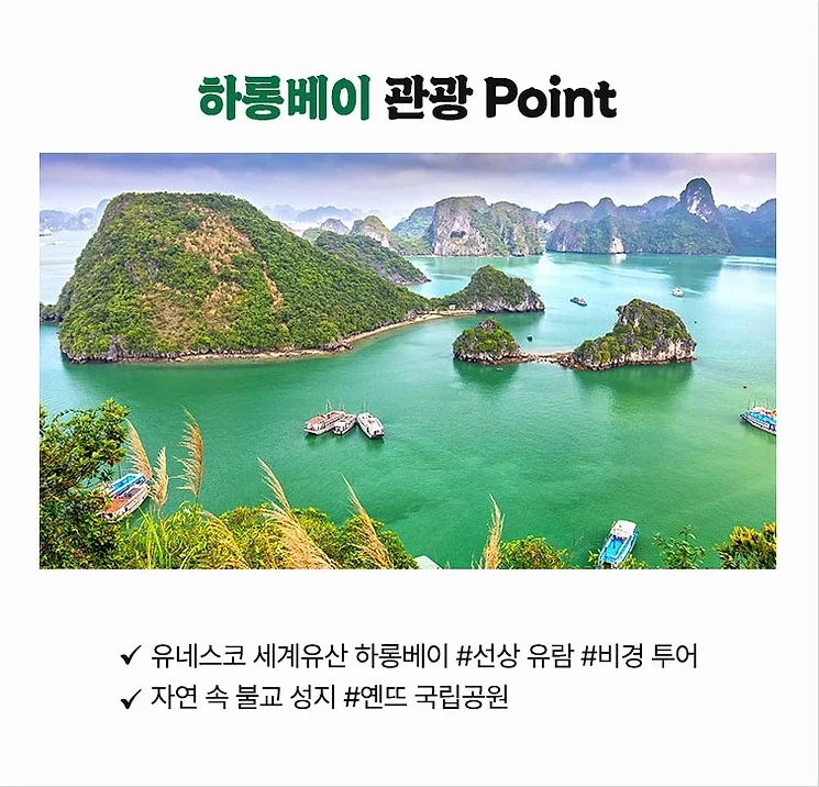 [실시간항공] [노옵션하노이/하롱베이] 전일정 5성 32만원 상당 혜택 식사UP (씨푸드+미슐랭맛집)4일 여행 사진